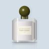 Parfum Contrée Lointaine frivole à la mousse de chêne – Le Cartographe, flacon 30 ml