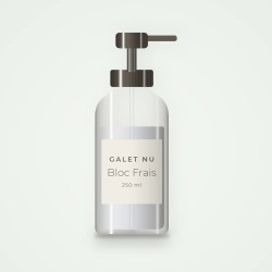 Shampooing Bloc Frais à la fleur d'hibiscus | Galet Nu