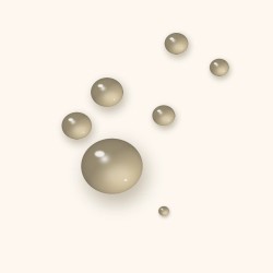 Sérum lissant à la niacinamide 50 ml | Zelliane