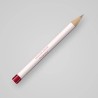 Crayon à sourcils longue durée Projecteur – Coulisse Rouge, 0,1 g, teinte 01 Blond cendré