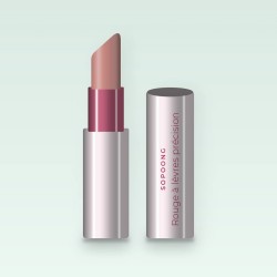 Rouge à lèvres précision à l'huile d'avocat – Sopoong, étui 3,5 g, teinte 02 Nude rosé