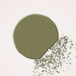 Palette yeux confort Opale Précieuse – Rive Opaline, aperçu de la teinte Tons kaki