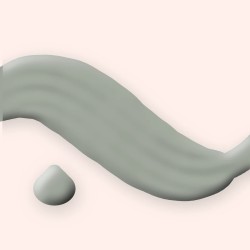 Masque visage Cinq Minutes au charbon végétal – Joli Quotidien, aperçu de la texture