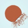 Palette yeux multi-usage Encre Studio – Chromalie, aperçu de la teinte Tons terracotta