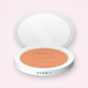 Blush sans effet poudreux Goutte Pure – Sanbit, boîtier 6 g, teinte 04 Abricot