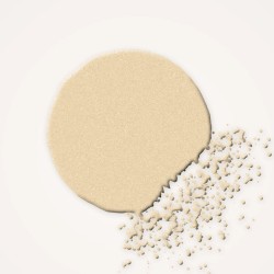 Enlumineur haute pigmentation à l'huile d'abricot – Laque Rivoli, aperçu de la teinte Champagne