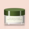 Crème hydratante matifiante à l'huile de noisette – Les Jardins d'Aulne, pot 50 ml