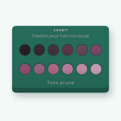 Palette yeux harmonieuse à l'huile d'argan – Sanbit, 4 × 1,2 g, teinte Tons prune