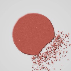 Blush Premier Rang résistant à l'eau – Coulisse Rouge, aperçu de la teinte 14 Rose brique