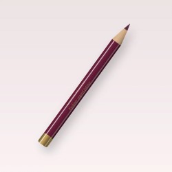 Eyeliner regard intense à l'huile d'argan – Balcon Pourpre, crayon 0,3 g, teinte Prune