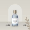 Aurore Boréale lotion tonique douce – Fjeldlys, photo d'ambiance