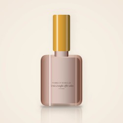 Vernis à ongles effet salon à l'huile de camélia – Terre d'Ocrelle, flacon 5 ml, teinte 01 Cristal