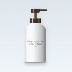 Crème coiffante disciplinante aux extraits d'algues – Mélèze & Givre, flacon-pompe 75 ml
