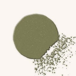 Palette yeux sans transfert au squalane – Laque Rivoli, aperçu de la teinte Tons kaki
