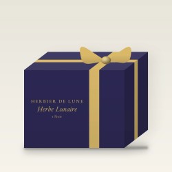 Coloration confort Herbe Lunaire – Herbier de Lune, coffret, teinte 1 Noir