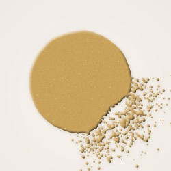 Palette yeux estompable à l'huile de macadamia – Maison Nuance, aperçu de la teinte Tons dorés