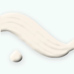 Crème solaire visage non grasse à l'extrait d'algue SPF 50+ – Tendrelle, aperçu de la texture